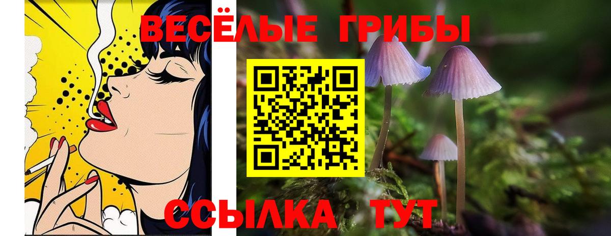 Галлюциногенные грибы мухоморы  Вход с VPN  Обь 
