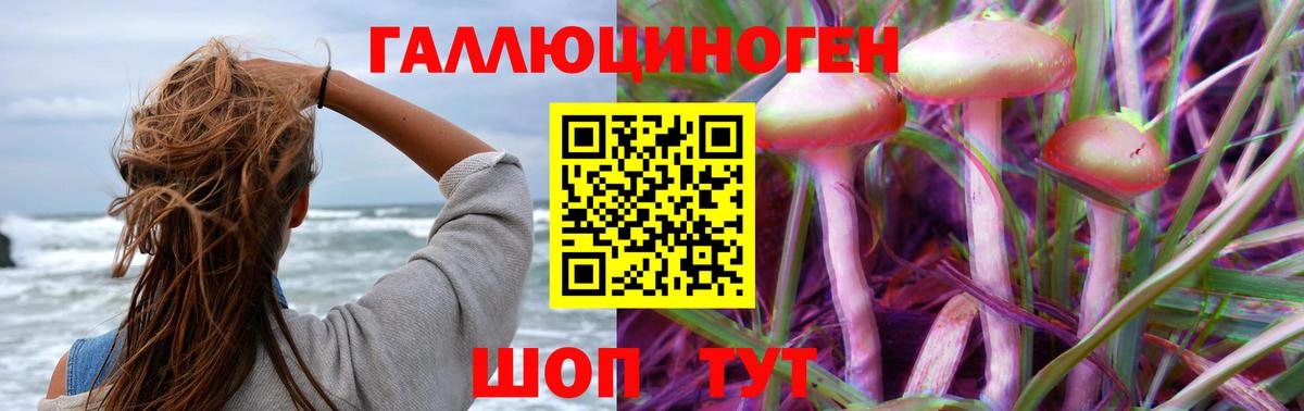 Псилоцибиновые грибы MAGIC MUSHROOMS Обь
